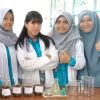 Helling Bure Bunga Langan