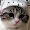 Nooni