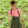 ကေဝ ေကာင္ေလး