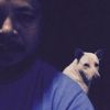 Odd Pachara