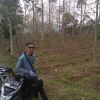 Yudii Fals