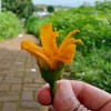 abdul_welback_07