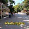 อัมพร แสวงชัย