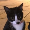 あしんちゃん