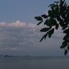 เลื่อนลอย