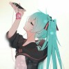 🎶Miku💕
