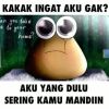 Deni