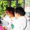 Aree Maitong