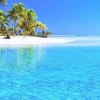 Thesea🏖