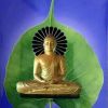 အရွင္ဣႏၵက စိုက္ကြင္းဒုလႅဘ