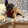 Winnie.H