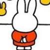 Alle Miffy