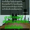 พัชรินทร์ จูประสาตร์