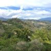 Yardin Imanuel Mendila
