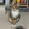 Nora