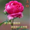 wong yuk ching