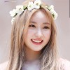 Koalalalisa✨