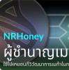 จีบได้ สถานะโสด