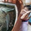 หมิงหมิง ม่านประตูกันยุง ร้อยเดียวจร้า