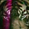 joox316186911