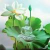 ဘကြီး အောင်