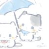 小珂