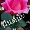 สิ่งที่ตัดยากที่สุด คือความผูกพันธ์