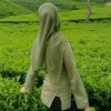 Rahma Daulay
