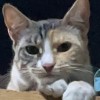 Farrah Cubby