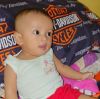 Yudistira