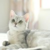 Leung_0222
