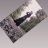 Nur Salamah