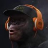 vay2021
