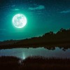 SilenceWish