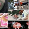 nur damia