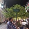 Dhenbagous'e Luthfi