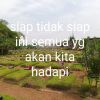 Nelsen