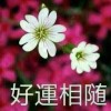 （包包）