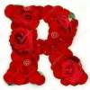 MD Rashel