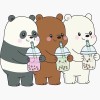 Polar bear 🤍