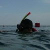 mahesa