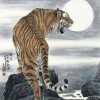Hugo lee