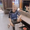 โน สลิป