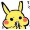 兔卑鄙🐰