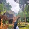 Widyloey