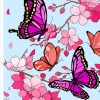 joox340559101