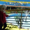 Sweett
