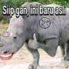 Badak Abadi
