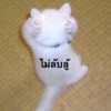 Gift Yupaporn Charoenphol
