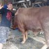 Didin Januar